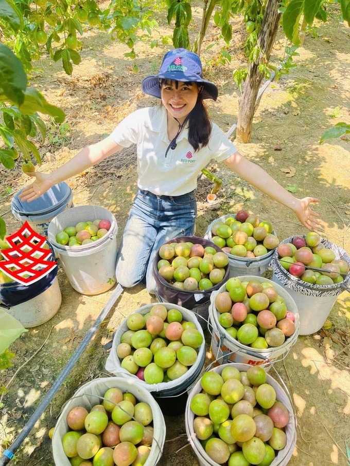 Thu hoạch chanh dây tại Công ty cổ phần quốc tế Thông Đỏ (xã Chư Pứh, tỉnh Gia Lai). gia-lai-5.jpg