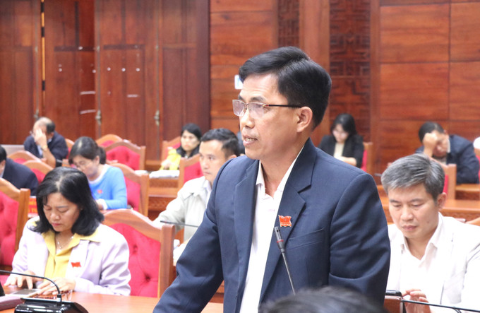 Đại biểu tham dự kỳ họp phát biểu.