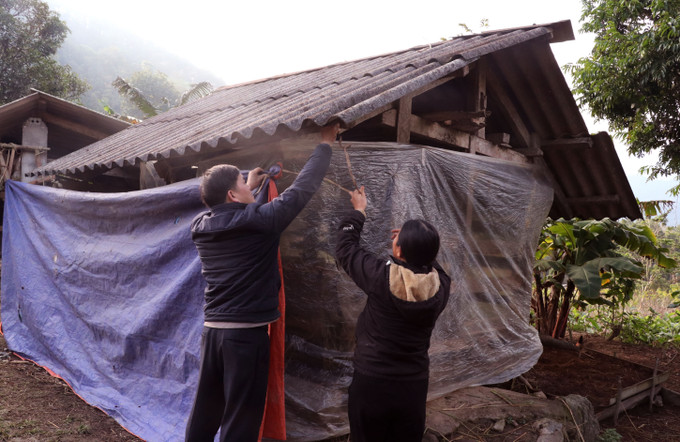 Cán bộ xã biên giới Minh Tân (Tuyên Quang) giúp người dân che chắn chuồng trại phòng chống rét cho trâu bò. Ảnh: Đức Thọ/TTXVN