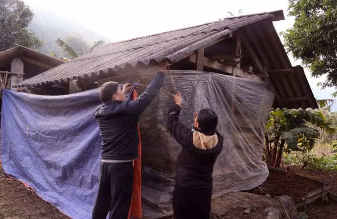 Cán bộ xã biên giới Minh Tân (Tuyên Quang) giúp người dân che chắn chuồng trại phòng chống rét cho trâu bò. Ảnh: Đức Thọ/TTXVN