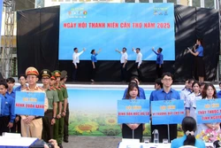 Thành lập đội hình chuyên trách, đẩy mạnh phong trào 'Bình dân học vụ số'