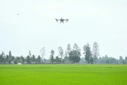 Hiệu quả tích cực từ chuyển đổi số trong hợp tác xã