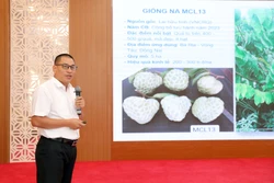 Phát triển vùng cây ăn quả đạt chuẩn, miền núi phía Bắc đón cơ hội xuất khẩu