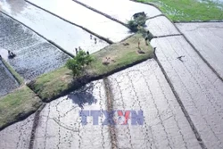 Mùa xuân mới trên vùng đất thiên tai đã đi qua