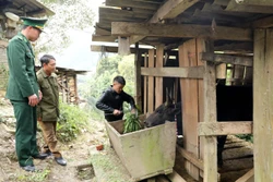 Nỗ lực phòng, chống rét ở vùng biên Nghệ An