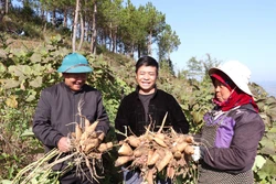 Đặt 'chuẩn cao' cho nông sản