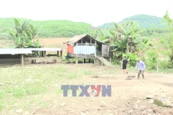 Đà Nẵng: Nông dân miền núi thoát nghèo nhờ mô hình trang trại