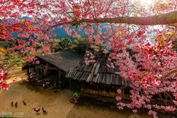 Nghệ An - điểm đến dịp Tết Dương lịch 2026