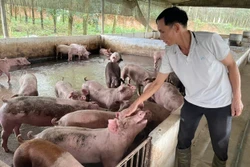 Dẫn dắt đồng bào dân tộc thiểu số cùng vượt khó làm giàu