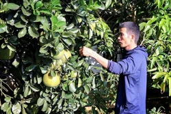 Xã lòng hồ Hòa Bình phấn đấu thành điểm sáng nông thôn mới nâng cao và kiểu mẫu