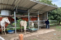 Việt Nam là điểm sáng về giảm nghèo