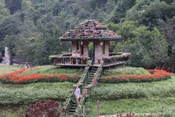 'Đảo hoa' khoe sắc giữa thiên nhiên di sản