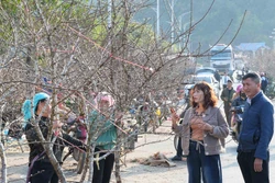 Nhộn nhịp chợ hoa Xuân phố núi Lai Châu