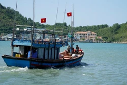 Khắc phục 'thẻ vàng' IUU: Cấp bách quản lý chặt hoạt động khai thác hải sản