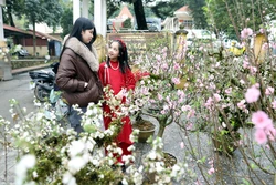 Quê hương cách mạng Tuyên Quang chào đón năm mới với nhiều ước vọng