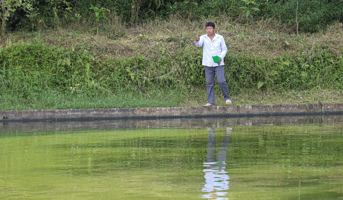 Ông Lò Văn Oai (dân tộc Thái) tại xã Thanh Nưa (Điện Biên) đã vay vốn để phát triển kinh tế, cho thu lãi ròng từ 200 - 300 triệu đồng/năm. dien-bien2-150925.jpg