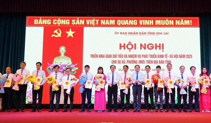 Giao chỉ tiêu chủ yếu phát triển kinh tế - xã hội cho 58 xã, phường (tỉnh Bình Định cũ). gia-lai3-030725.jpg