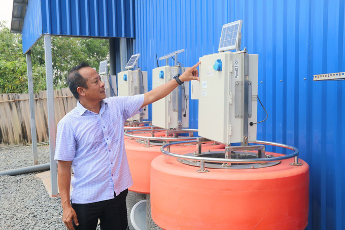 Ông Ngô Minh Tuấn, chủ trang trại tôm công nghệ cao tại xã Tân Phú Đông, tỉnh Đồng Tháp cho biết, tôm càng về size lớn càng bán được giá cao, lãi lớn. Ảnh: Đức Tâm/TTXVN tom3-170925.jpg