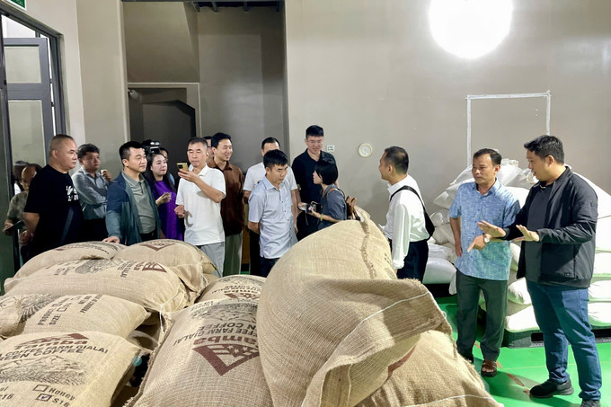 Đoàn doanh nghiệp Trung Quốc tham quan trang trại và khu chế biến cà phê của Công ty TNHH Tam Ba, xã Biển Hồ, tỉnh Gai Lai. gia-lai4-180825.jpg