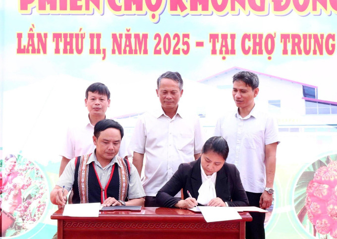 Ký kết hợp tác tiêu thụ, bao tiêu đầu ra cho nông sản giữa các HTX, trường học với đồng bào Xơ Đăng. Ảnh: TTXVN phát cho3-031025.jpg