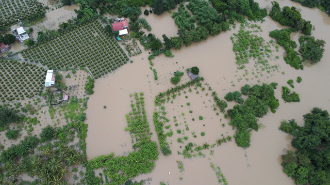 Nhiều nhà cửa, hoa màu của người dân phường Hàm Thắng (Lâm Đồng) bị ngập sâu trong nước lũ. Ảnh: Nguyễn Thanh/TTXVN lam-dong-ngap-301025.jpg