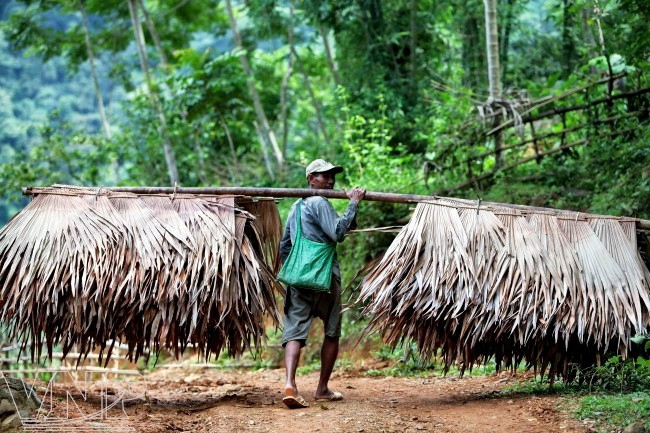 Để bảo vệ sự đa dạng sinh học, người dân trong vùng chỉ tận thu những sản phẩm đã khô từ rừng để phục vụ cuộc sống. Ảnh: vietnam.vnanet.vn pl3-090625.jpg