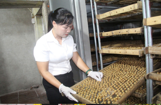 Chị Đỗ Thị Ngoãn, Giám đốc Hợp tác xã Cây ăn quả và Chế biến nông sản Tân Hưng (xã Tân Hưng, tỉnh Hưng Yên) thành công từ khởi nghiệp với các sản phẩm OCOP chế biến từ nhãn. hung-yen-170925.jpg