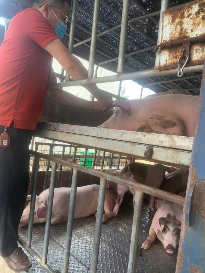 Lực lượng chức năng tỉnh Phú Thọ lấy mẫu xét nghiệm nhanh. Ảnh: TTXVN phát phu-tho2-110725.jpg