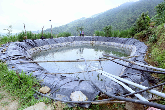 Diện tích nuôi cá tầm thương phẩm của gia đình ông Giàng A Hồ, dân tộc Mông, ở bản Xím Vàng, xã Xím Vàng, huyện Bắc Yên (Sơn La). son-la-140625.jpg
