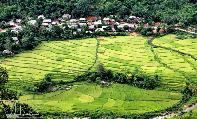 Bản làng của người Thái với những thửa ruộng bậc thang tuyệt đẹp. Ảnh: vietnam.vnanet.vn Bản làng của người Thái với những thửa ruộng bậc thang tuyệt đẹp. Ảnh: vietnam.vnanet.vn