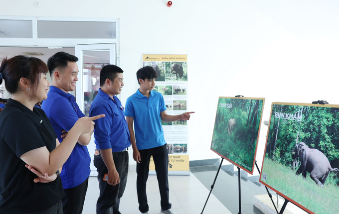 Các đại biểu tham quan hình ảnh trưng bày về hoạt động của voi nhà ở Đắk Lắk bên lề tọa đàm. Ảnh: Hoài Thu/TTXVN voi2-160525.jpg