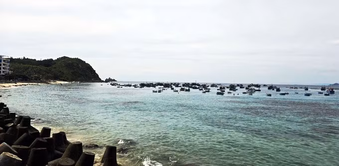 nhon-chau-290925.jpg