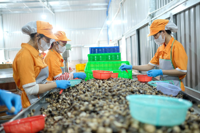 Tình trạng thiếu nước kéo dài khiến nhiều doanh nghiệp sản xuất nông sản tại Lâm Đồng gặp khó khăn. phu-hoi2-220525.jpg
