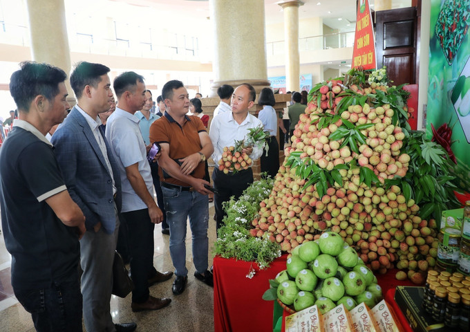 Các đại biểu tham quan các gian hàng trưng bày vải sớm. Ảnh: Danh Lam/TTXVN bac-giang2-280525.jpg