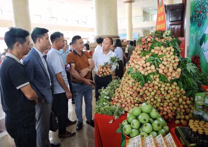 bac-giang2-280525.jpg