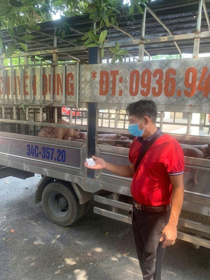 Lực lượng chức năng tỉnh Phú Thọ kiểm tra xe tải chở 1,6 tấn lợn không rõ nguồn gốc, không có giấy chứng nhận kiểm dịch động vật theo quy định. Ảnh: TTXVN phát phu-tho-110725.jpg