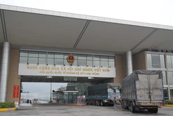 Ngăn chặn hơn 1,8 tấn thực phẩm đông lạnh nhập lậu tại biên giới phía Bắc