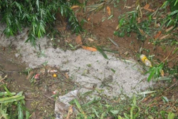 Nhanh chóng hỗ trợ nhân dân Pắc Ngà (Sơn La) khắc phục hậu quả dông lốc