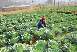 Khơi dậy ý chí phát triển kinh tế của nông dân