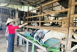 Nghệ An triển khai 7 dự án và dự án thành phần giảm nghèo