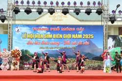 Độc đáo, đặc sắc Lễ hội Hoa sim biên giới 2025