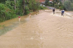 Đề phòng lũ quét, sạt lở đất ở 3 tỉnh Tây Nguyên