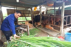 Đồng bào vùng dân tộc thiểu số làm kinh tế, góp sức xây dựng quê hương
