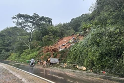 Khẩn trương xử lý sạt lở, thông tuyến Quốc lộ 27C và đèo Mimosa trước ngày 1/12