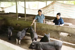Đổi thay ở vùng đồng bào dân tộc Mảng