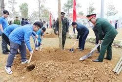 Lai Châu gắn việc trồng cây với quản lý, bảo vệ diện tích rừng