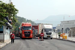 Phòng, chống dịch Chikungunya ngay từ cửa khẩu