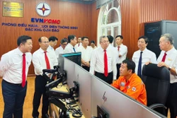 Đặc khu Côn Đảo chính thức sử dụng lưới điện thông minh