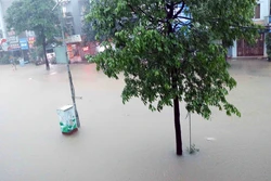 Mưa lớn gây ngập lụt và nhiều thiệt hại cho sản xuất tại Thái Nguyên