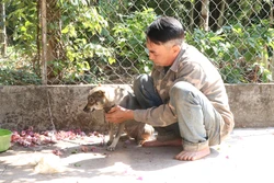 Siết chặt các biện pháp phòng, chống bệnh dại trong mùa nắng nóng